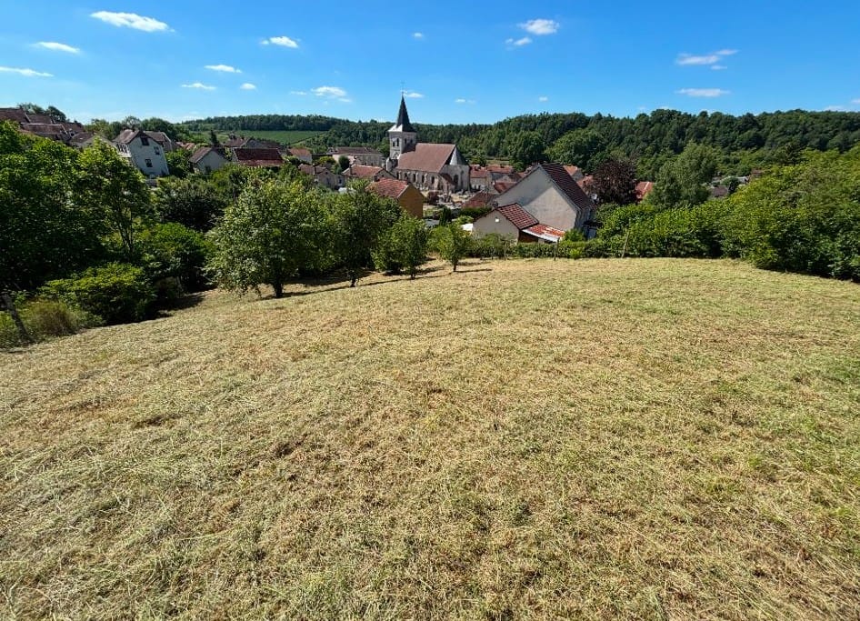 Terrain débroussaillé à proximité de Cunfin, dans l'Aube.