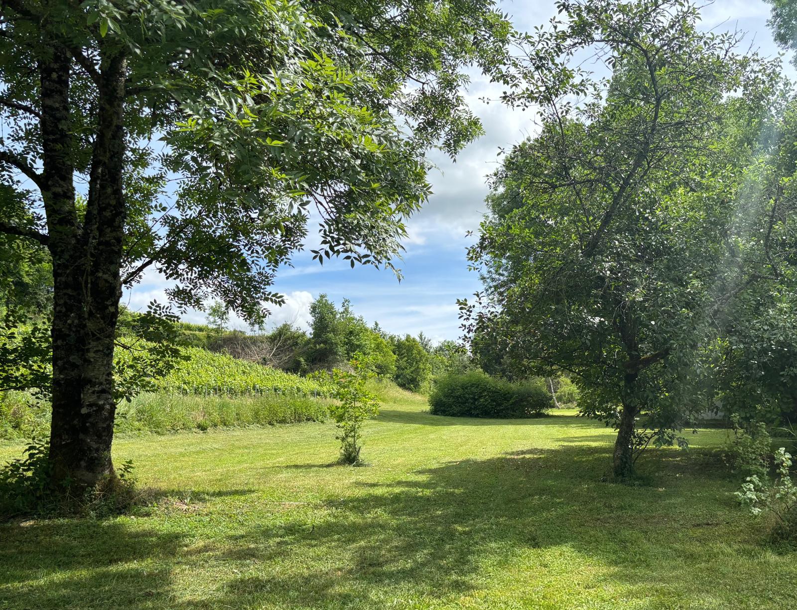 Jardin arboré entretenu par Natur'Arthur à Cunfin